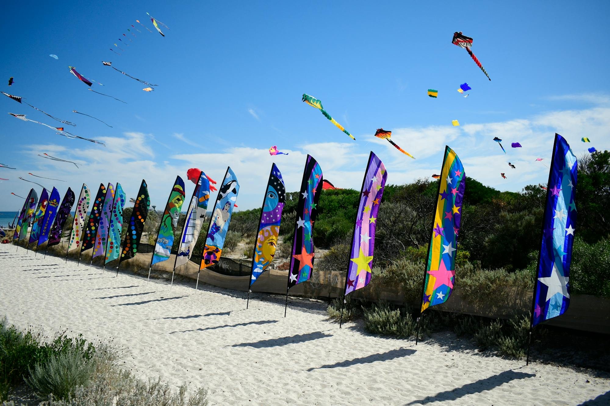 Festival of the Winds